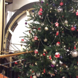 Santa at the Museum