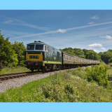 Diesel Gala 2019