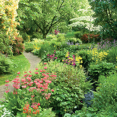 Buy Annual Garden Memberships Tickets online - Avoca