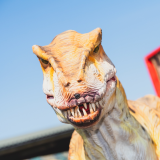 25 May - 2 June 2019 (inc. Dino Week)