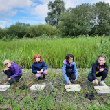 ODL Summer Holiday Pond Dipping