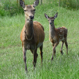 Admission - Please Allow 24 Hours Prior To your Visit To Book