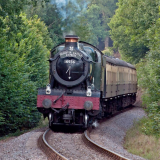 Dunster Castle Express 2019