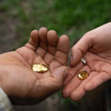 Sustainable Gold: A field trip to the Peruvian Amazon, Tues 22 June 2021, 3pm - 4pm GMT+1, Free, £3, £5, £10