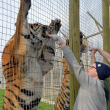 Animal Experience - Book Now! @ Wingham Wildlife Park