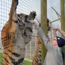 Buy WWP - Animal Experiences Tickets Online - Wingham Wildlife Park