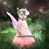 Fairies On the Farm