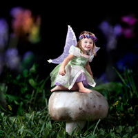 Fairy and Dragon Gardens