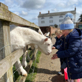 1 Hour Family Farm Experience