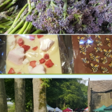 Farmers Market