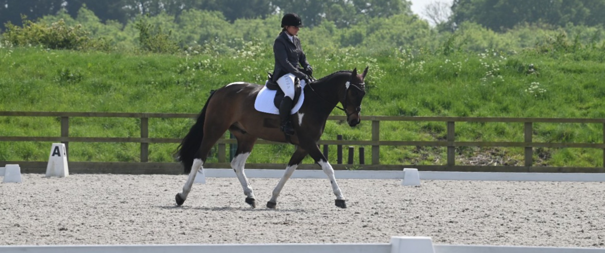 Equestrian Centre Livery Services