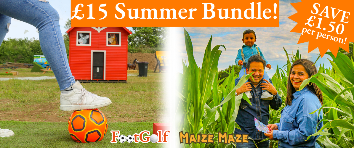 Summer Bundle