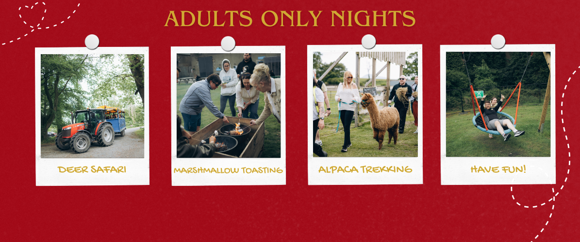 Adults Night