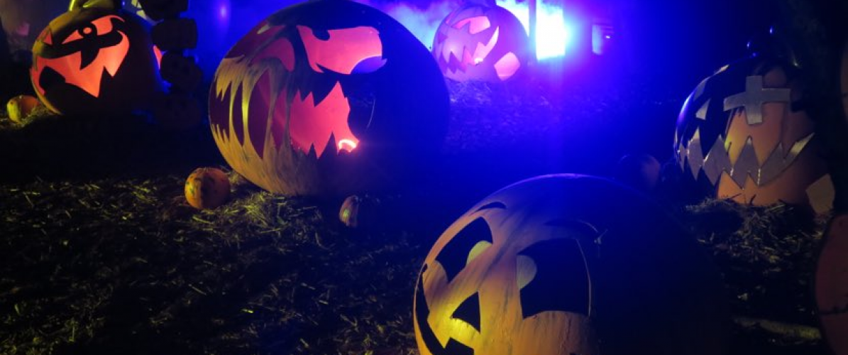 October Park Tickets