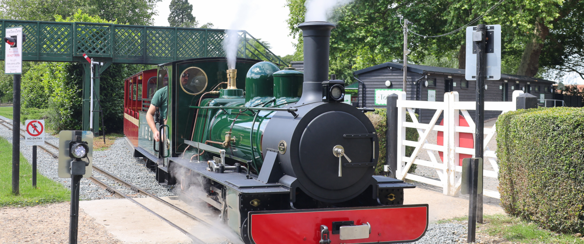 Woodland Adventure Days - 1st September - 27th September