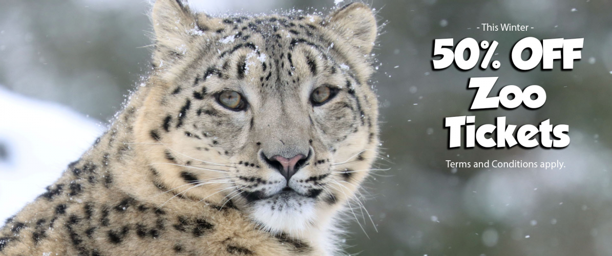 General Admission Tickets