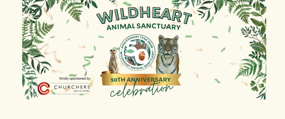 50th Anniversary Celebration
