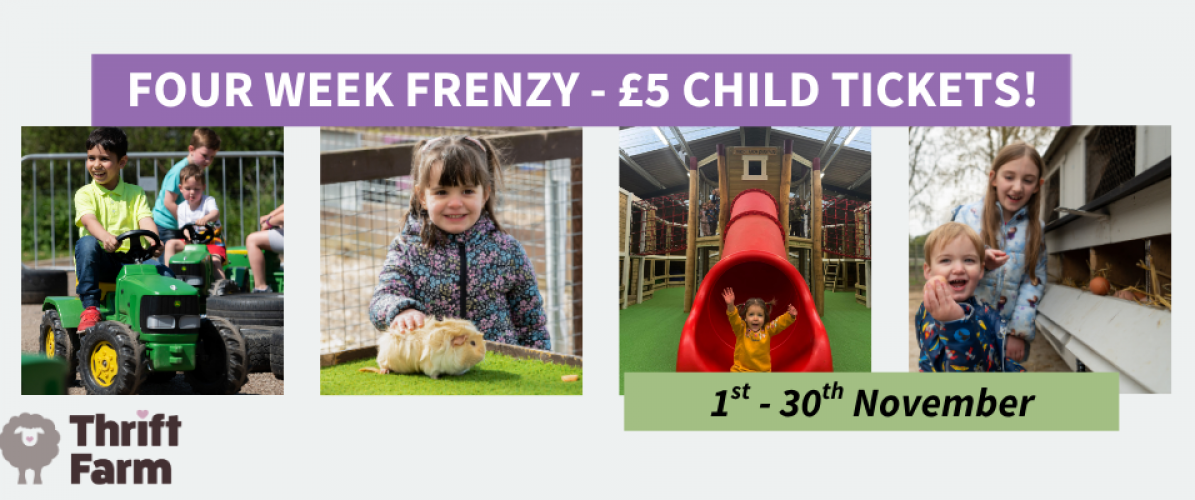 November OFFER - 4 Week Family Frenzy! Just £5.00 Per Child!
