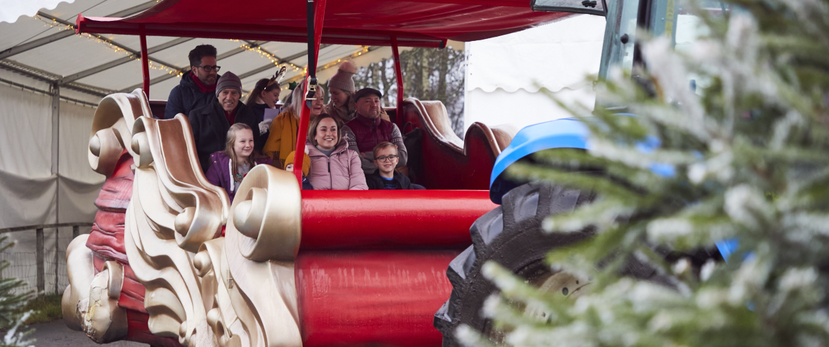 Magical Sleigh Rides 2026