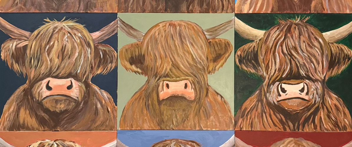 Highland Cow Acrylic Workshop