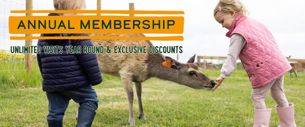 Memberships - PAY UP FRONT