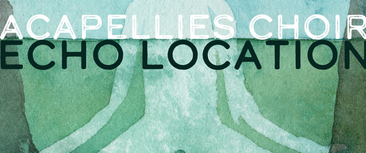 Acapellies Choir: Echo Location at Woodchester Mansion - 5th June