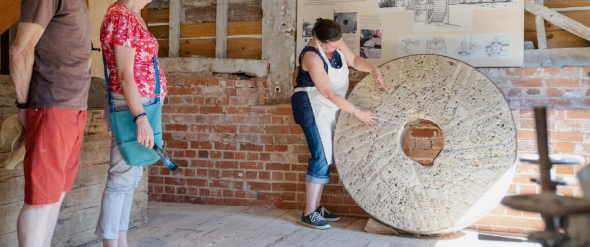 Workshops, Talks & Activities