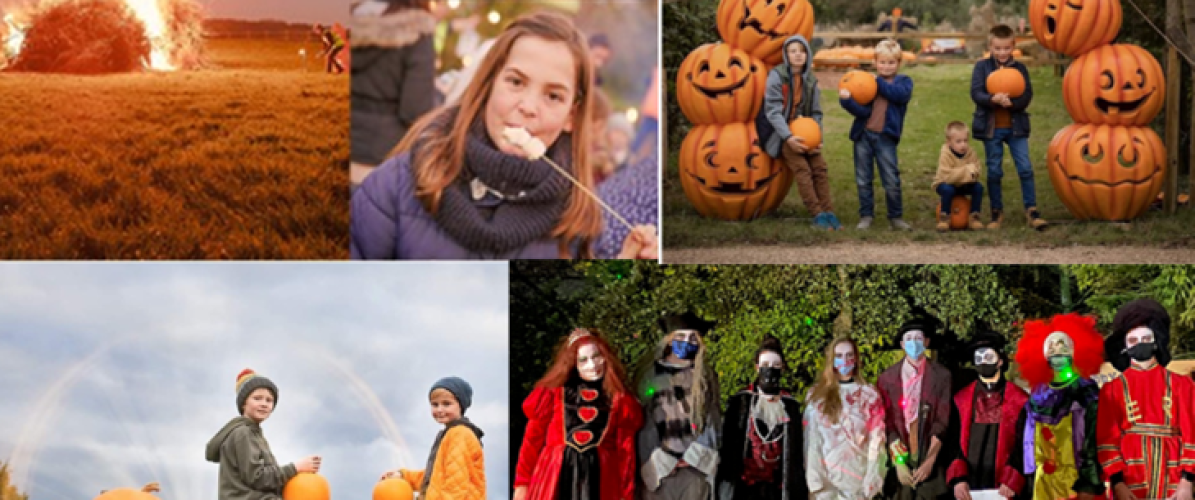 Autumn Events including Low Noise Fireworks, Ghost Hunt, Halloween and Pumpkin Party Night