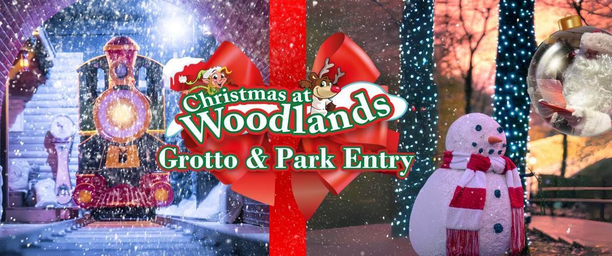 Christmas Grotto & Park Admission 2025