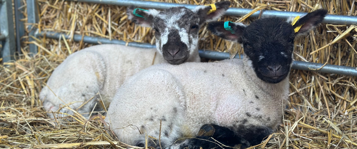 General Admission Tickets