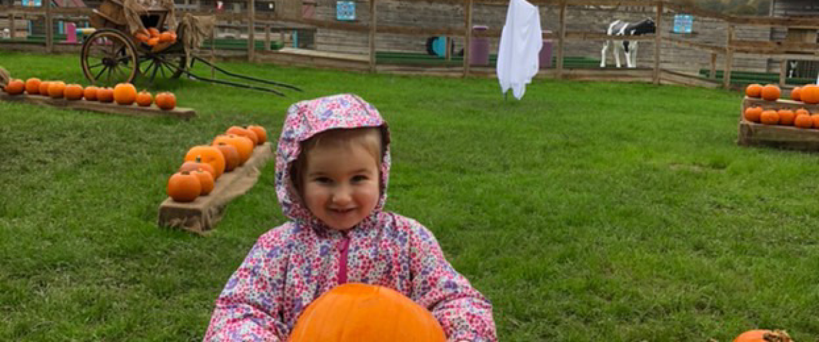 ‘Spook-tacular’ Halloween