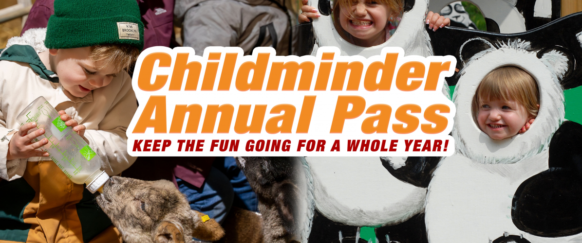 2025 Childminder Pass