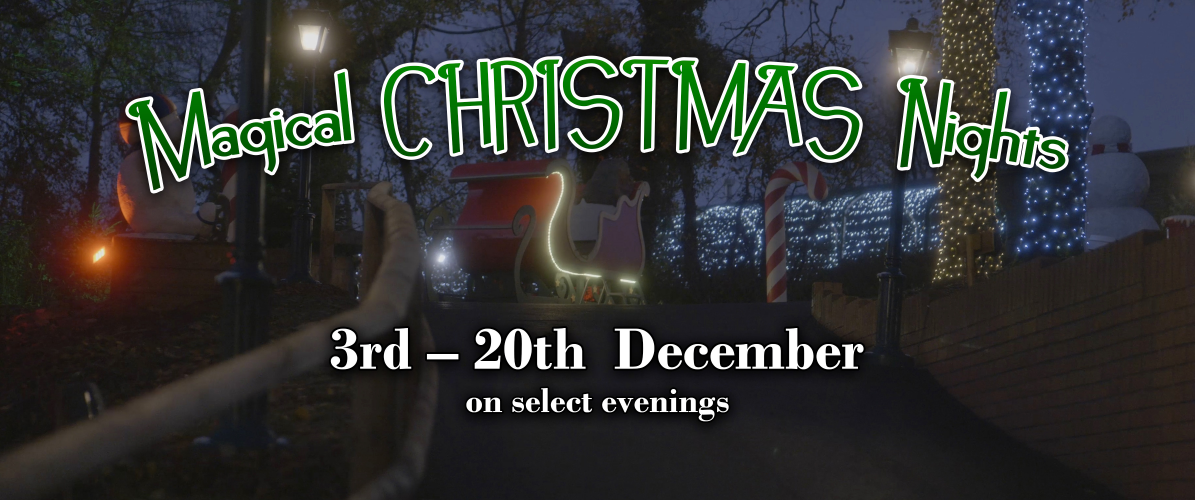 Magical Christmas Nights at Woodlands (Grotto Only, PARK CLOSED)