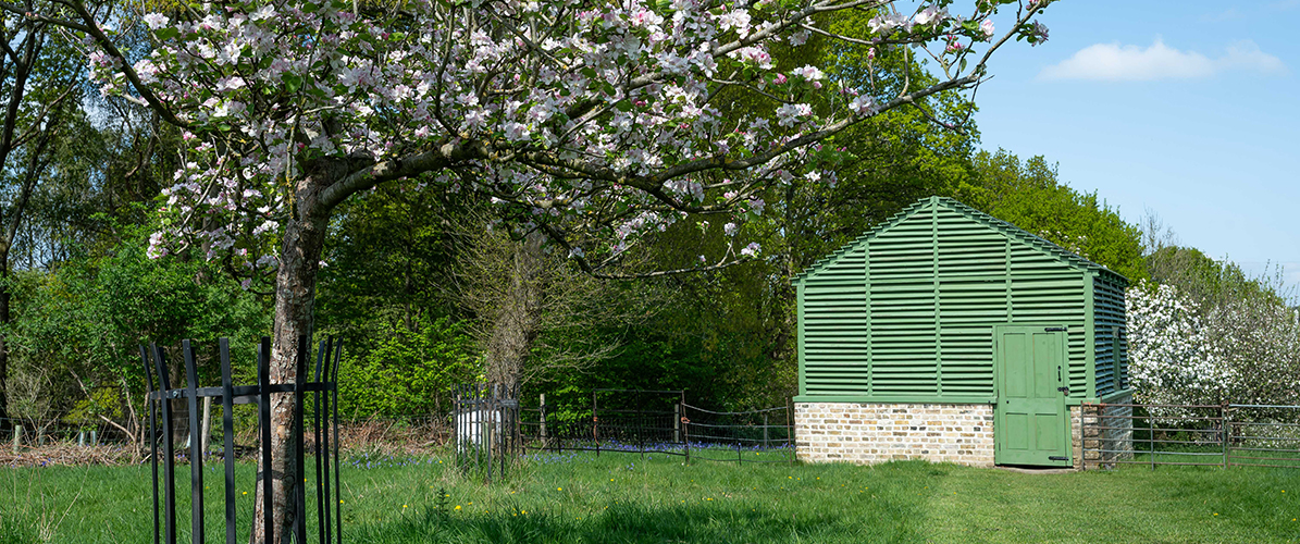 Donate to replant our woodland
