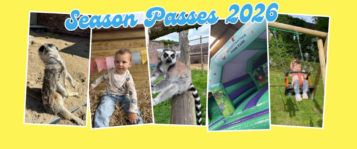Season Passes 2026