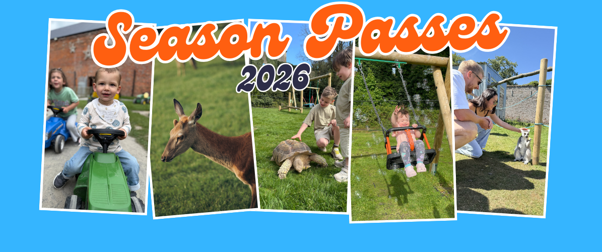 Season Passes 2026