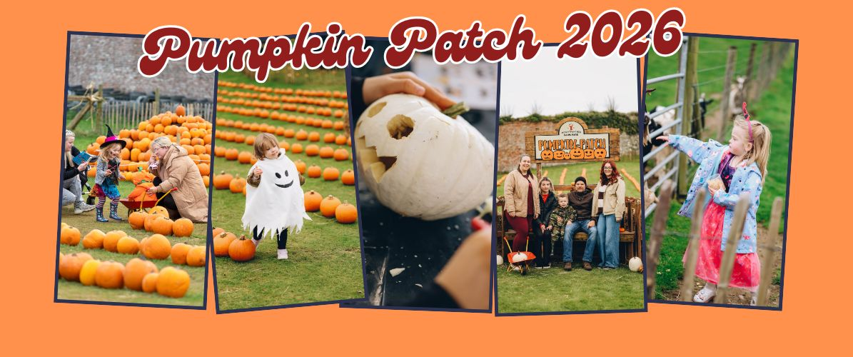 Pumpkin Patch 2026