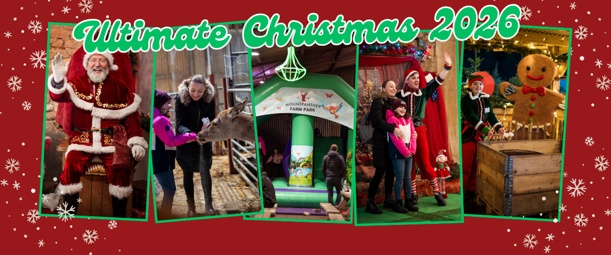 Ultimate Christmas Experience at Mountpanther 2026