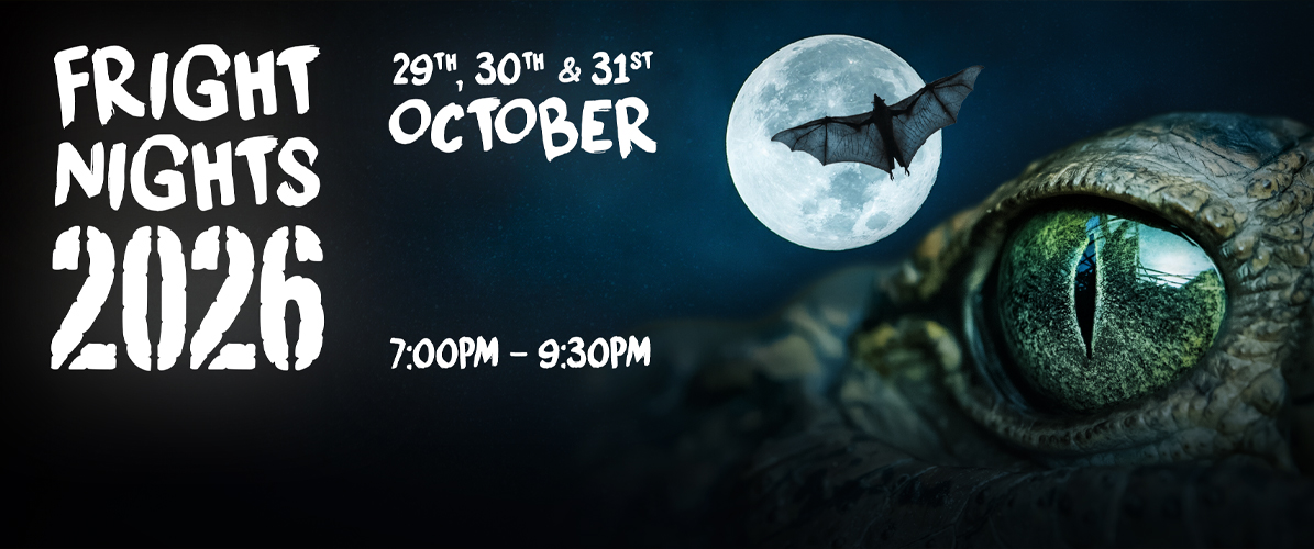 Fright Night
