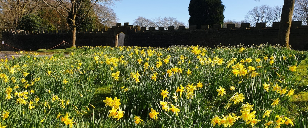 Mother's Day Afternoon Tea at Hoghton Tower