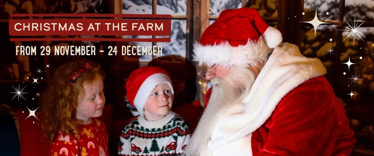 Christmas at the Farm