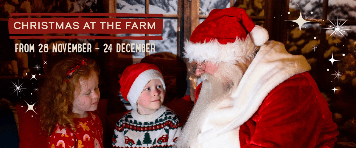 Christmas at the Farm