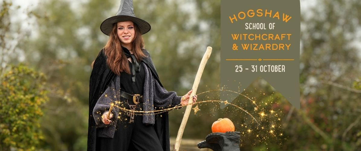Hogshaw School of Witchcraft and Wizardry