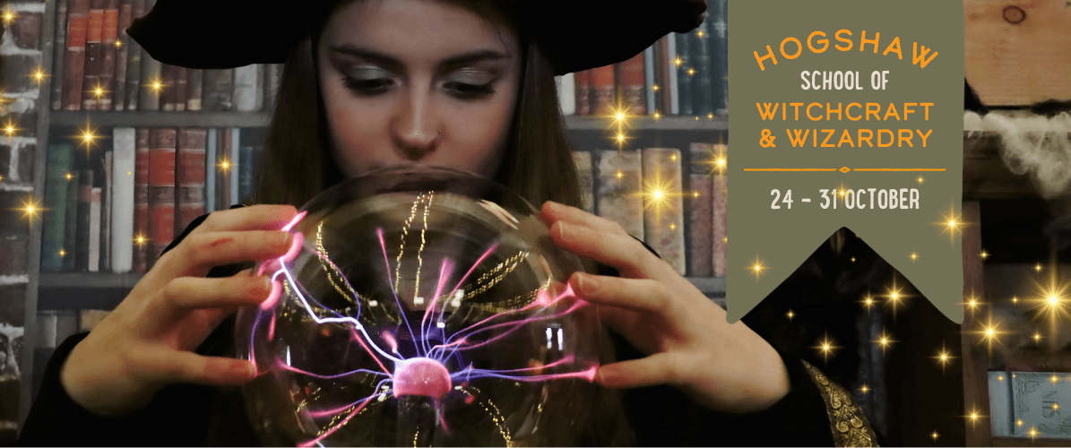 Hogshaw School of Witchcraft and Wizardry
