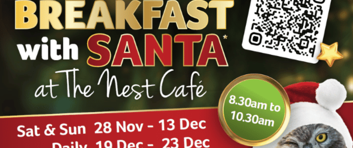 Breakfast with Santa