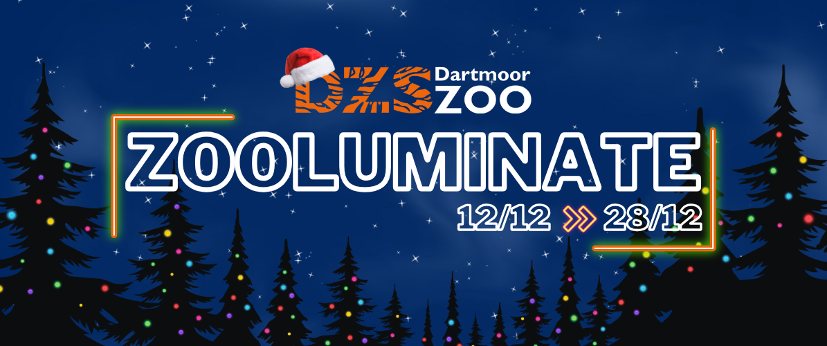 Zooluminate
