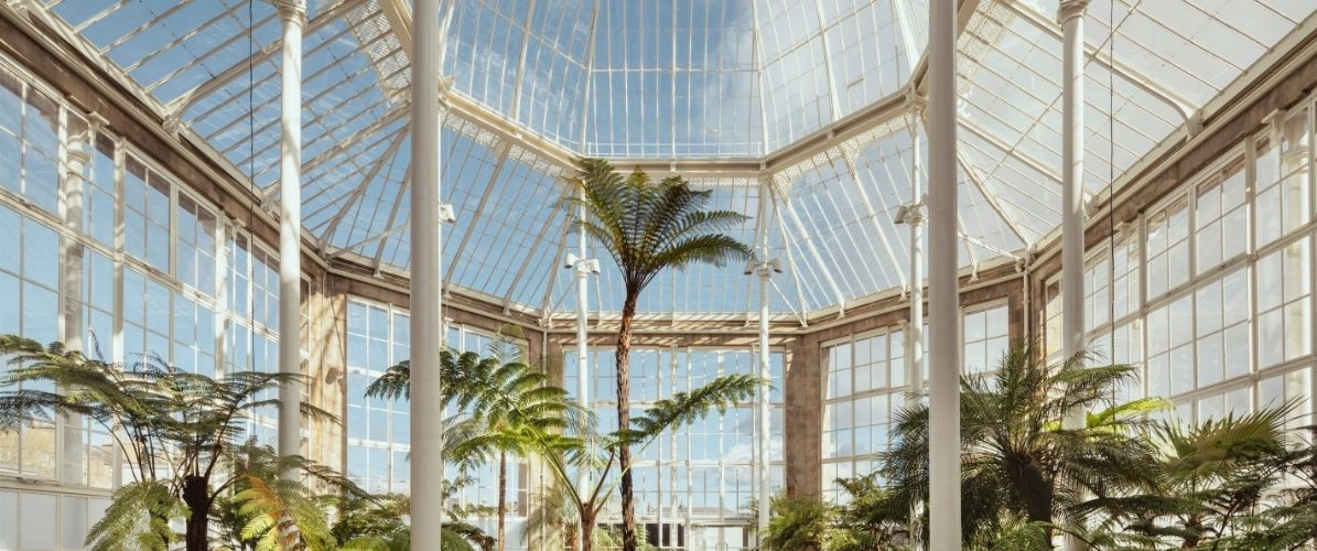 Visit the Palm House