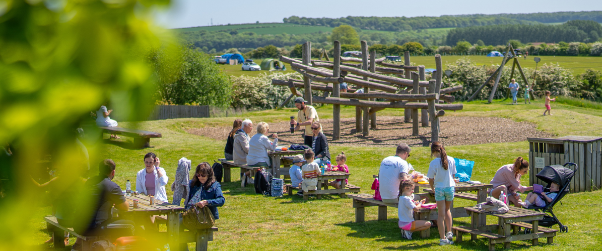 Summer Family Bundles