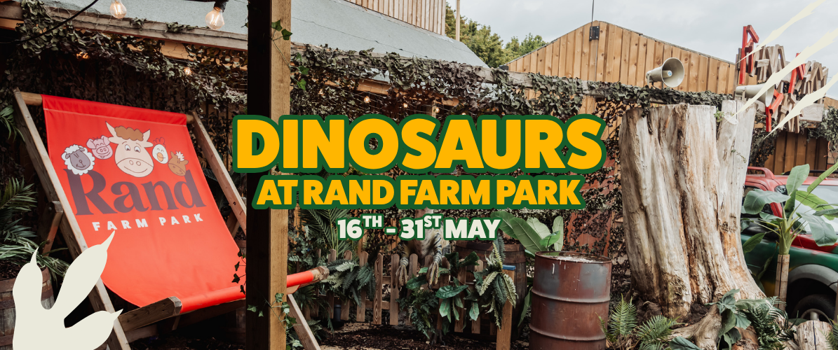 Dinosaurs at Rand Farm Park
