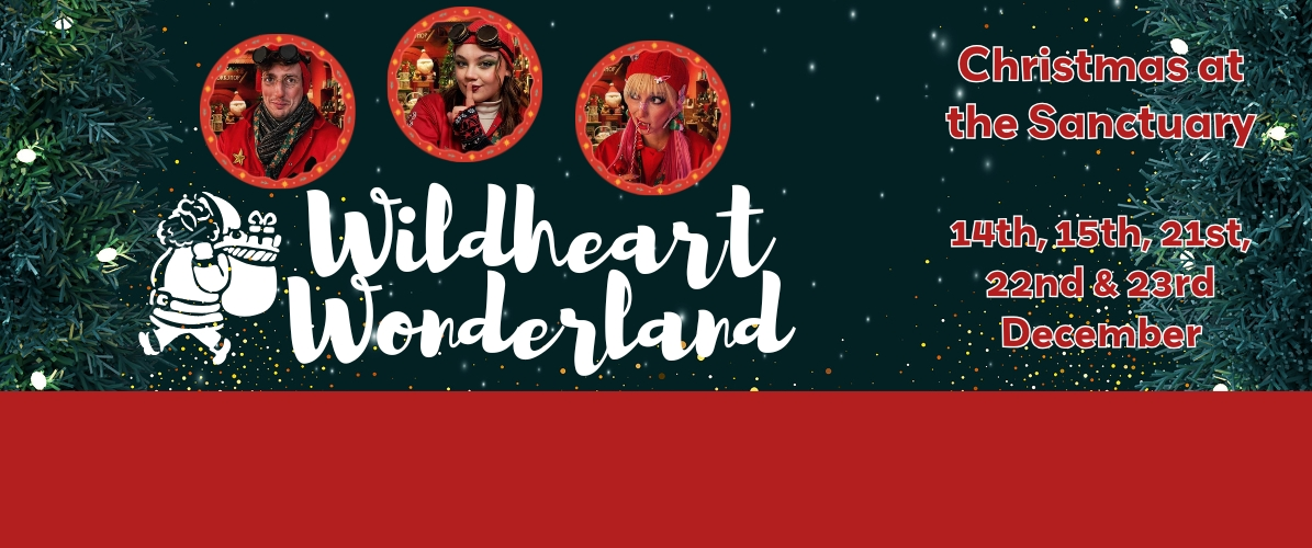 Wildheart Wonderland